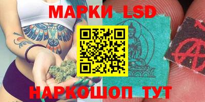 крисы Новозыбков